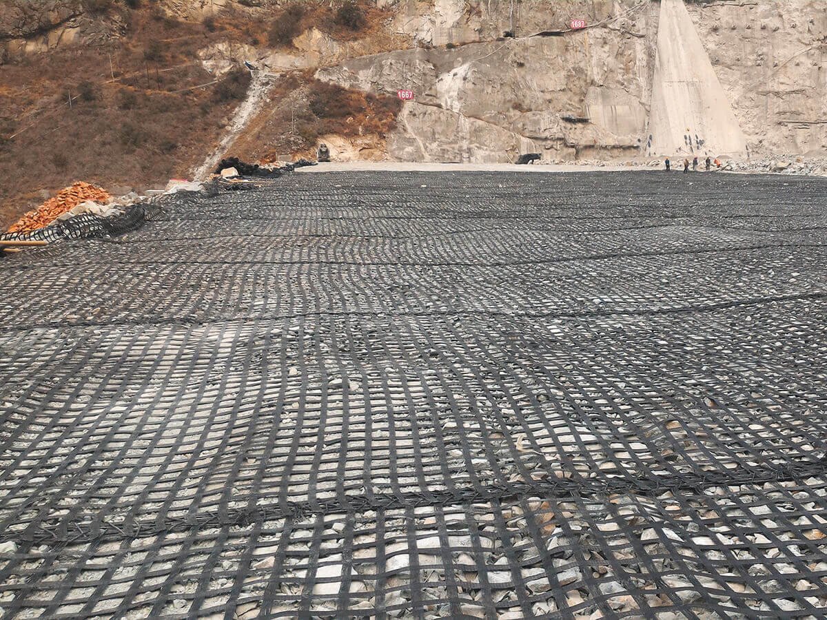 Geogrid