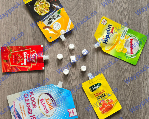 Waypack.ca_20250806_194030_0000